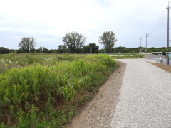 DSCN5815.JPG