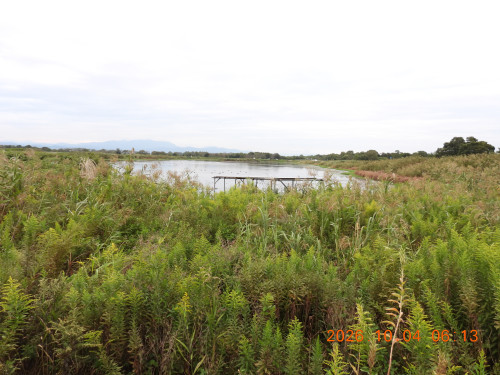 DSCN5817.JPG