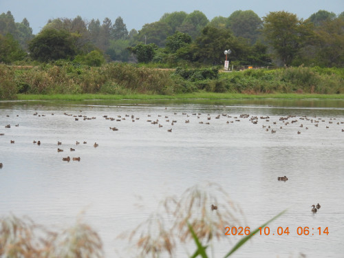 DSCN5818.JPG
