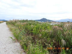 DSCN5821.JPG