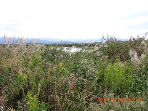 DSCN5822.JPG