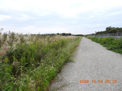 DSCN5823.JPG