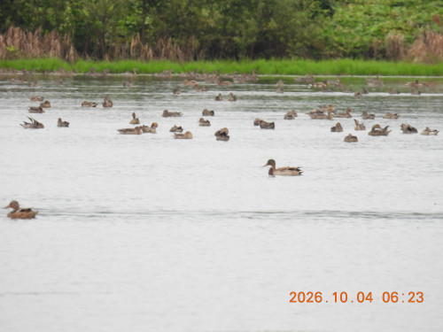 DSCN5828.JPG