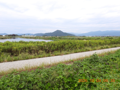DSCN5831.JPG