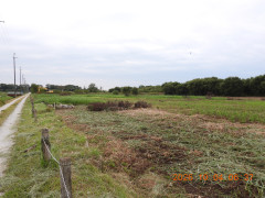 DSCN5834.JPG