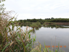 DSCN5840.JPG