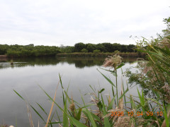 DSCN5841.JPG