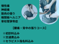 腰痛・背中の張り に.png
