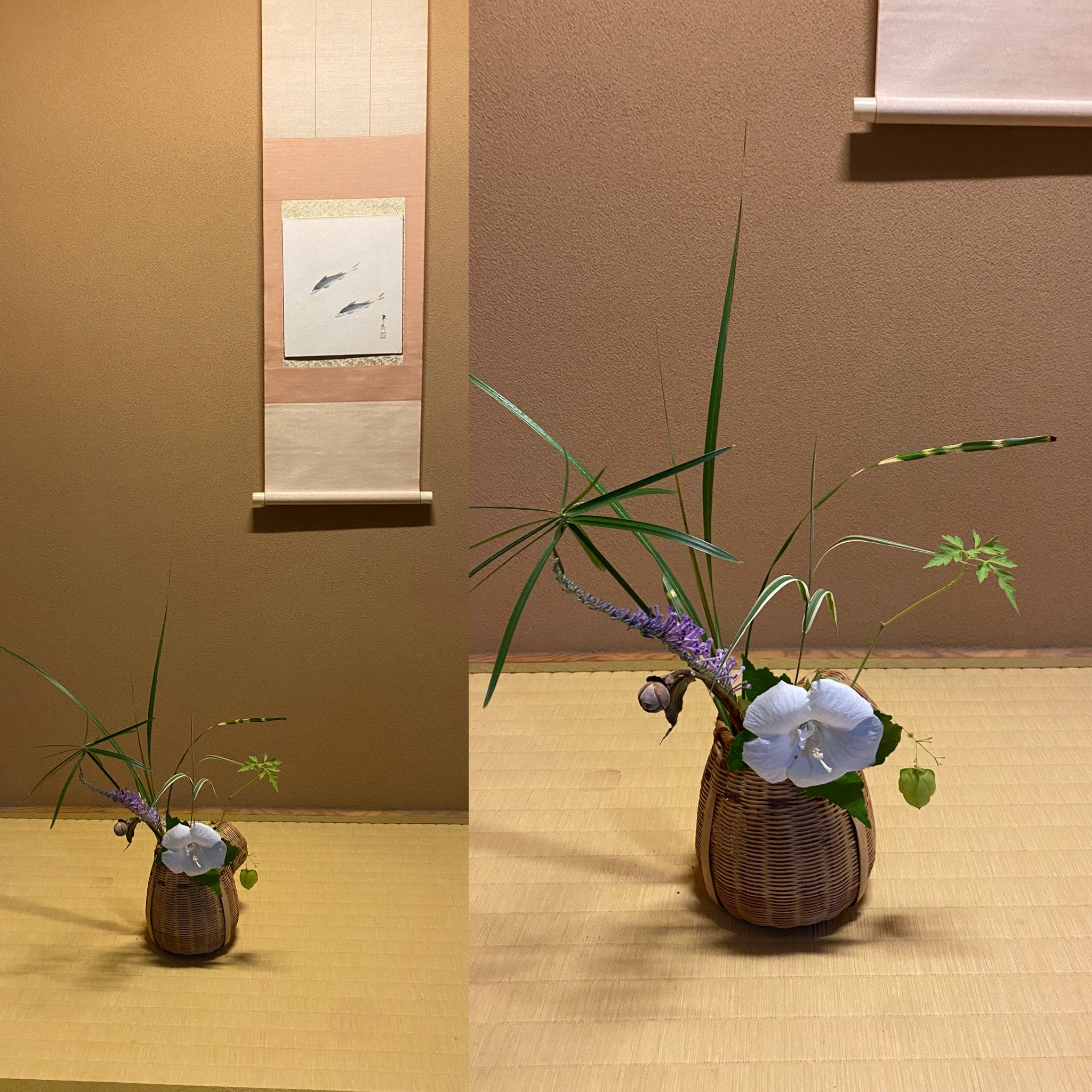今日のお軸は・・・