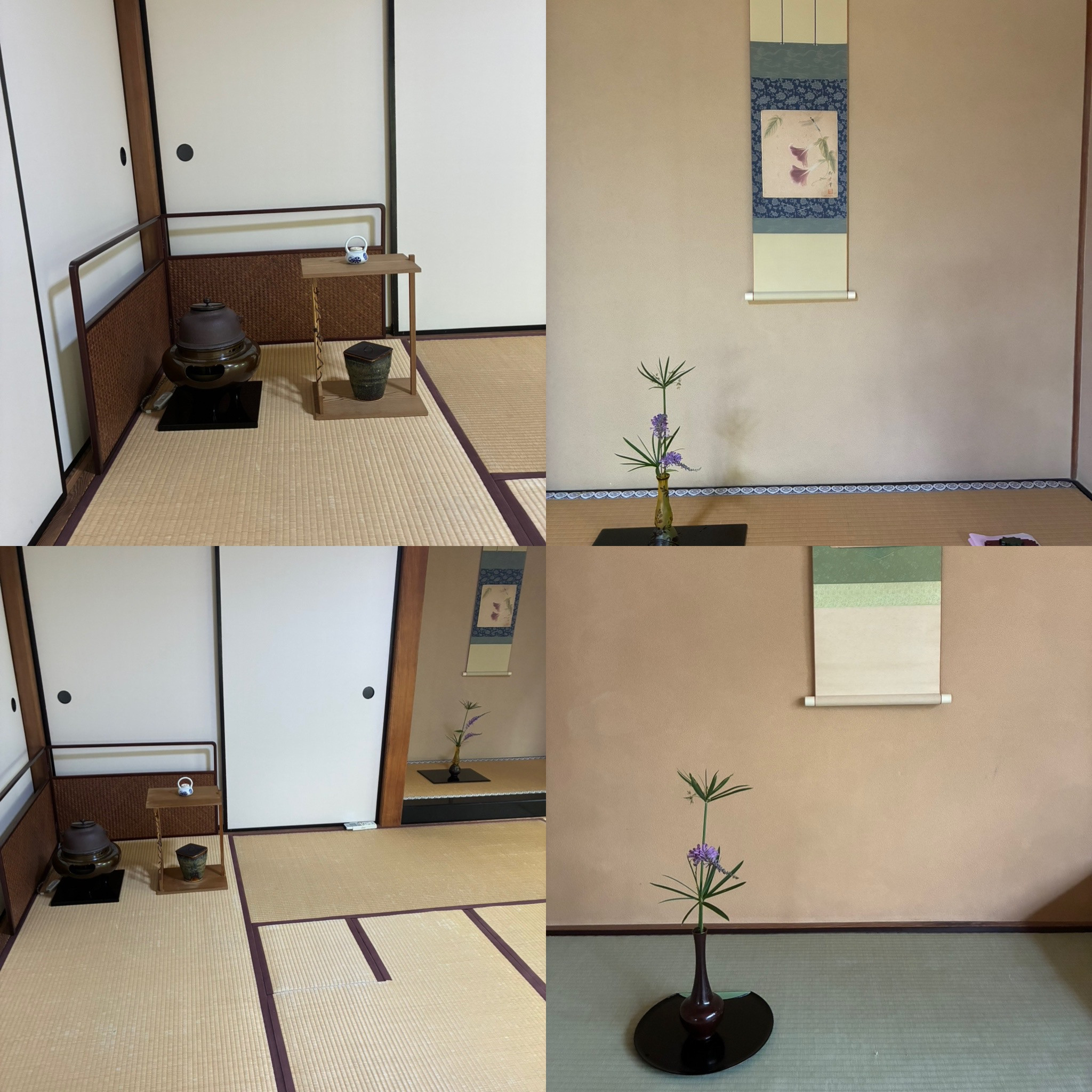 一茶双樹記念館　6月お呈茶では・・・