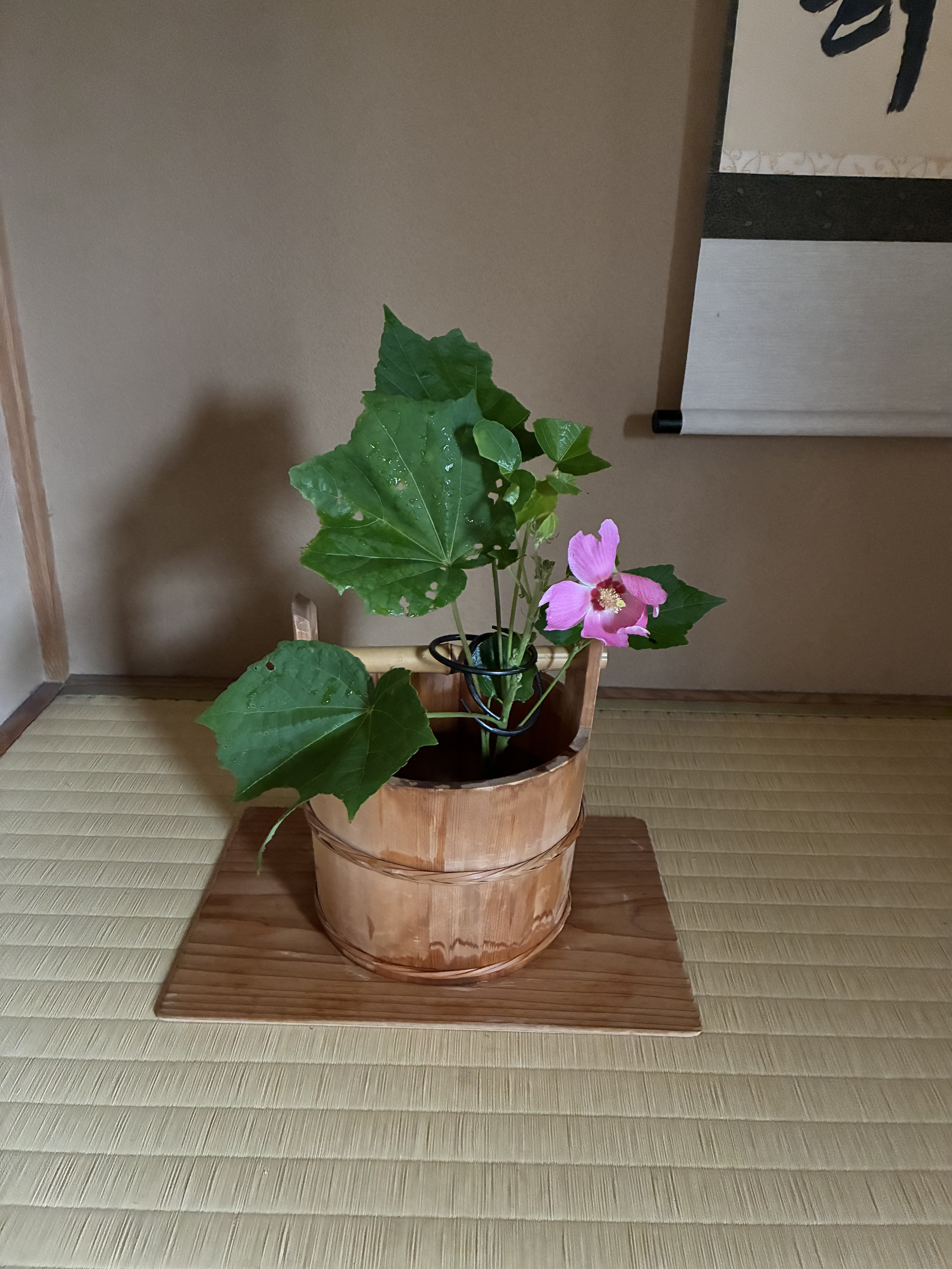 暑い夏に・・・