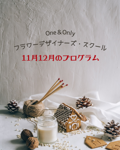 2025年11月12月のプログラム