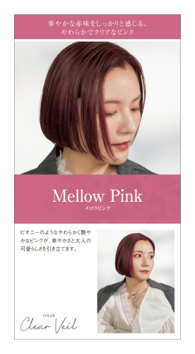 colorimage-show-15.jpg