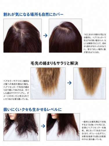 つむじ・毛先・くせ毛の資料掲載例