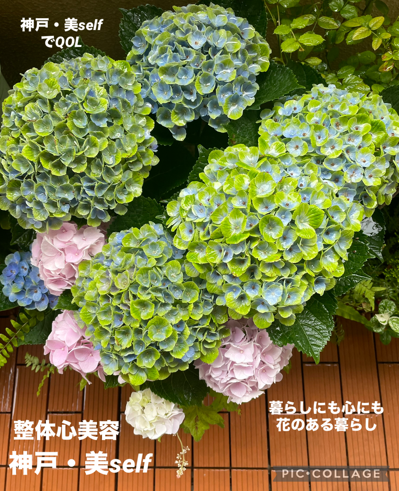 心は晴れやかに