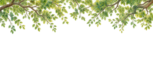 ChatGPT Image 2026年8月13日 14_16_43.png