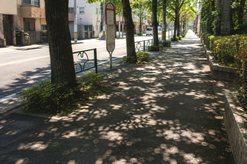 木漏れ日街路樹写真02.png