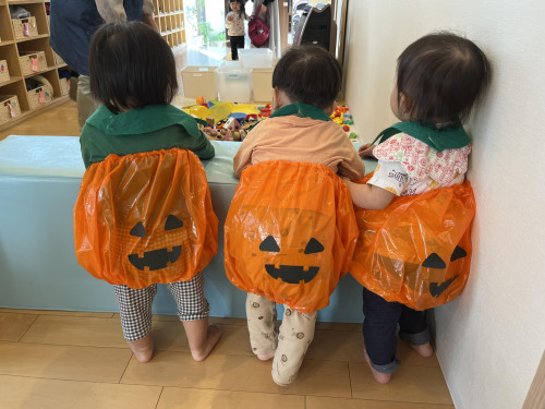 IMG_2831.jpeg