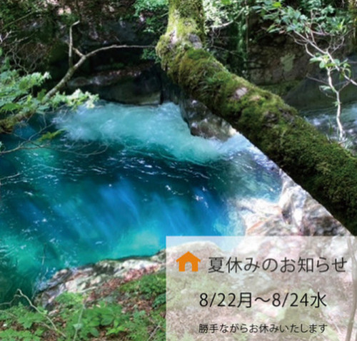 夏休みのお知らせ