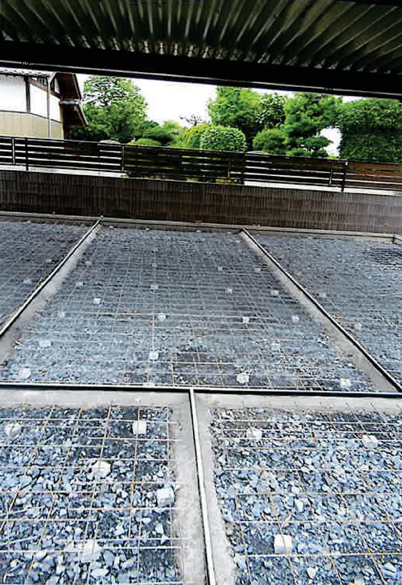 145.jpg