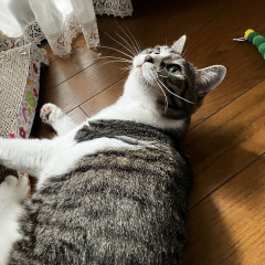 IMG_9682.jpeg