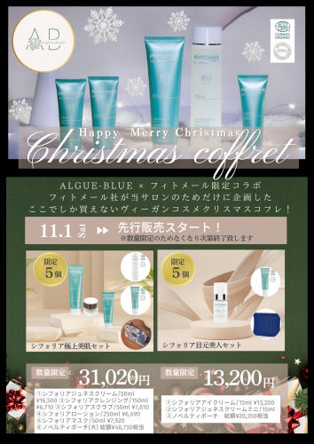 くすみカラー 韓国風 コスメ限定販売 A4チラシ.png