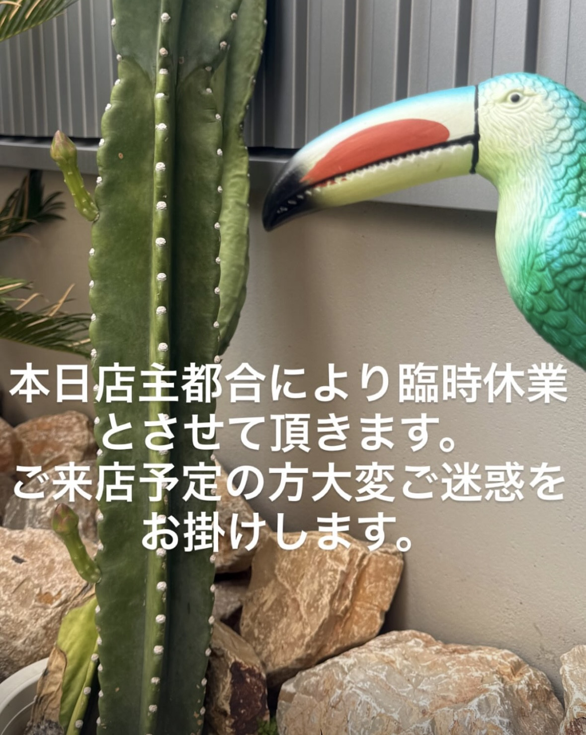 本日臨時休業