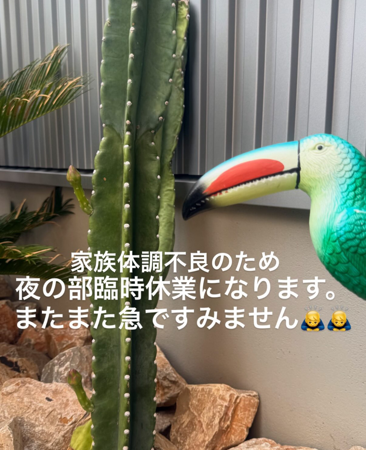 夜の部臨時休業