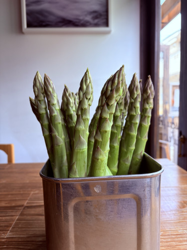 北海道産アスパラ