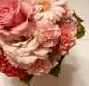 IMG_1460.jpeg