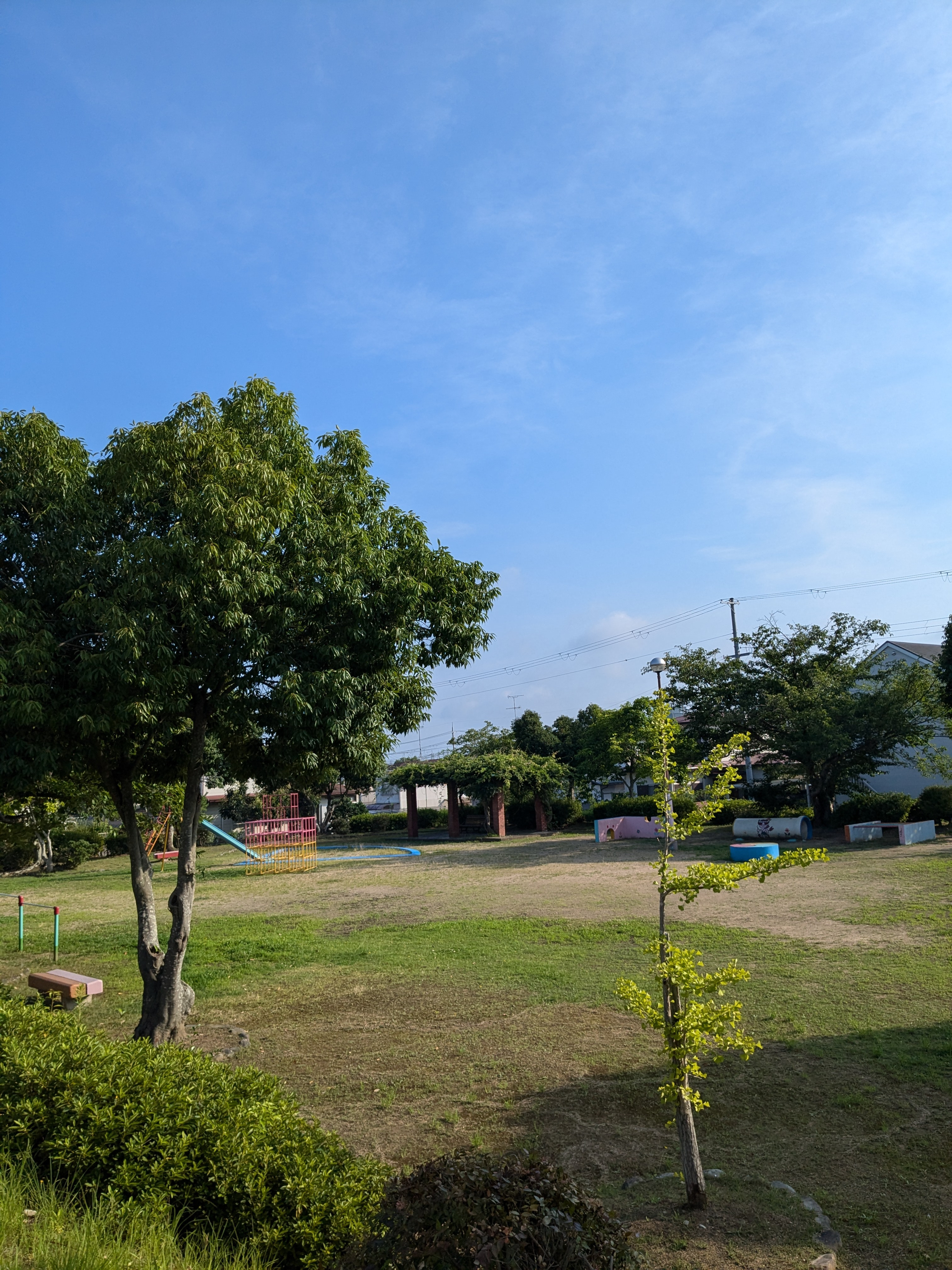 今日はお昼から空いてます〜