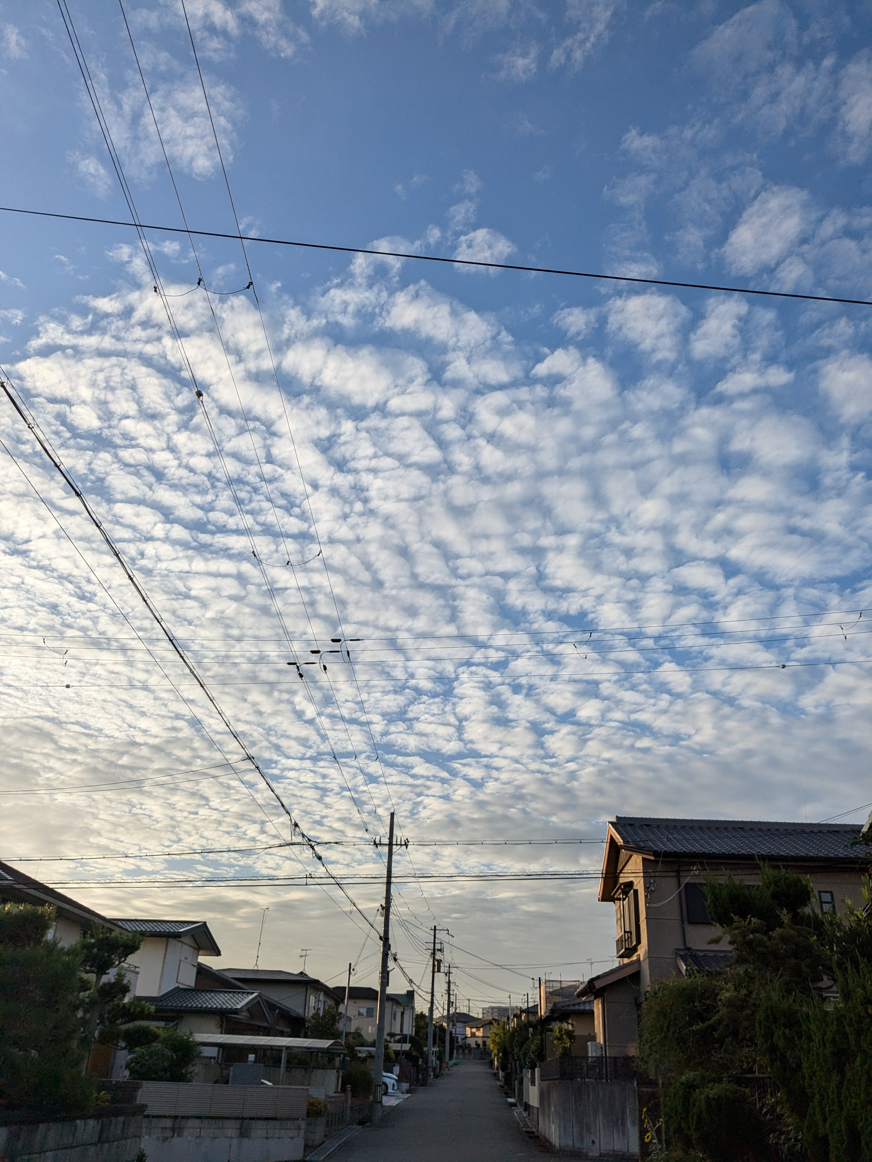 今日と明日は午後から空いてます!