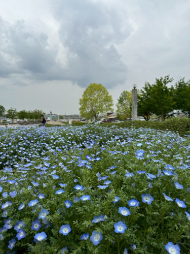 ５月になりましたね〜