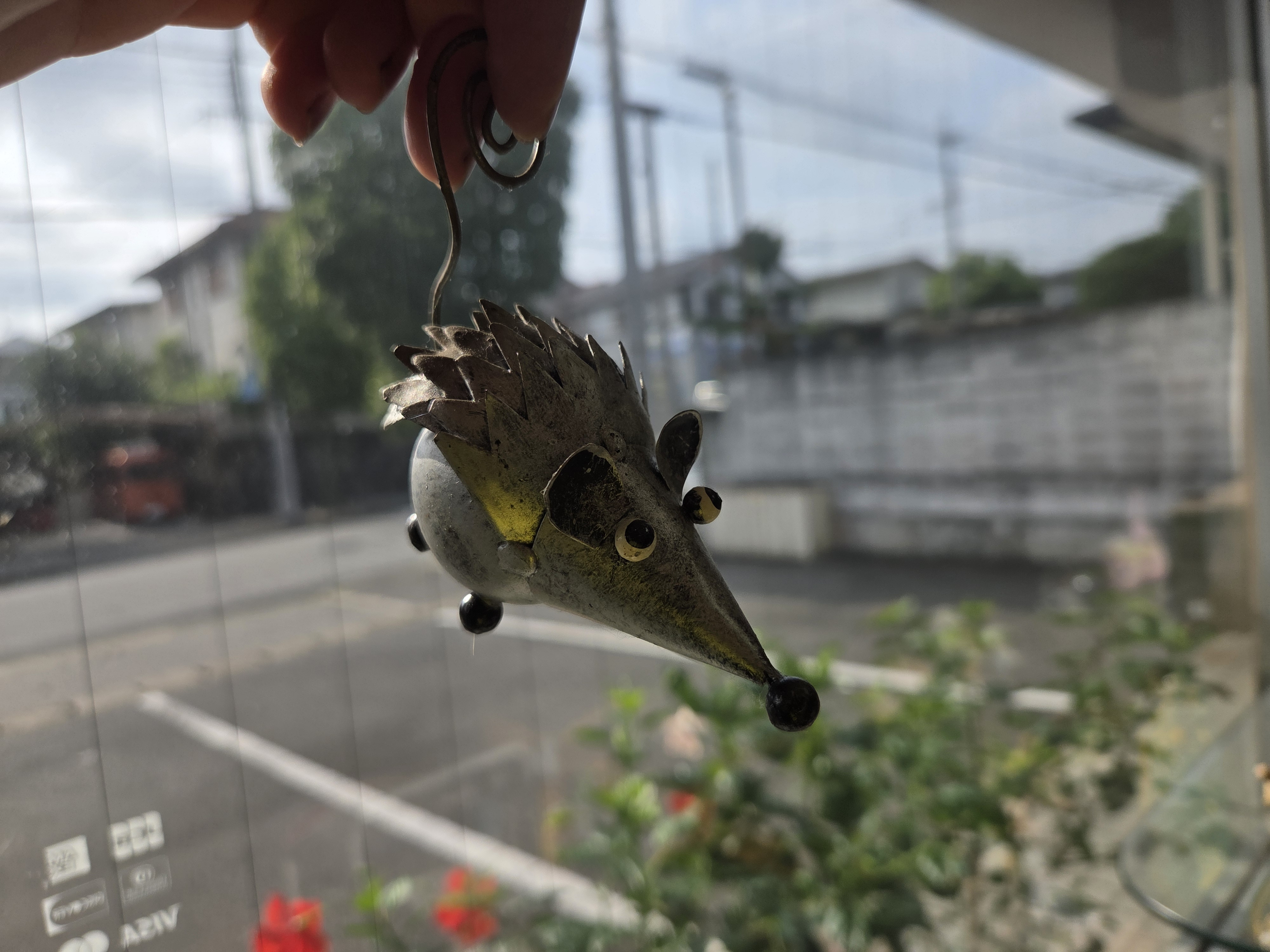 今日はもういっぱいです❗明日は…