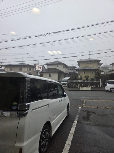 久しぶりの雨ですね～
