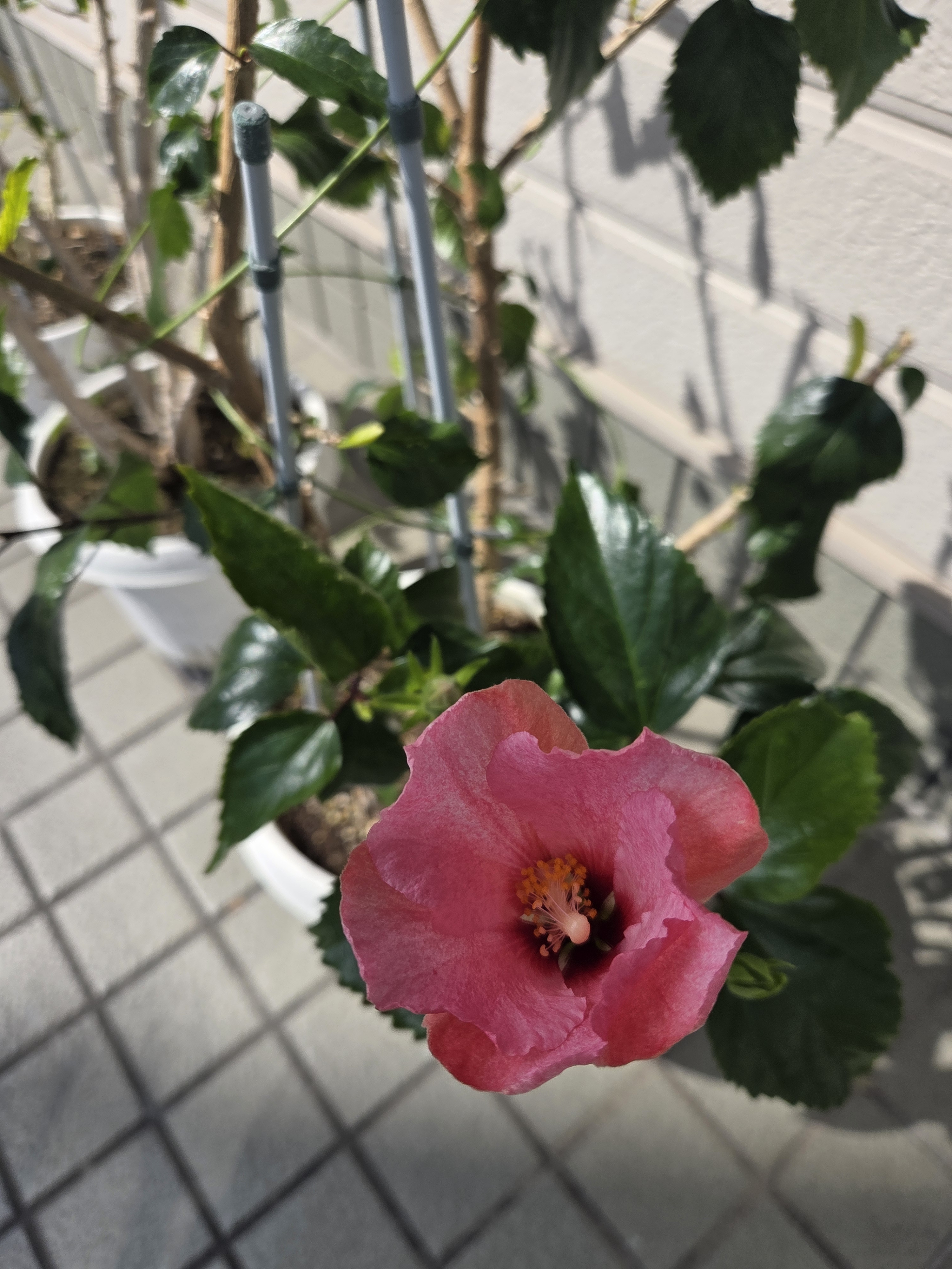 15時から１枠空きました～