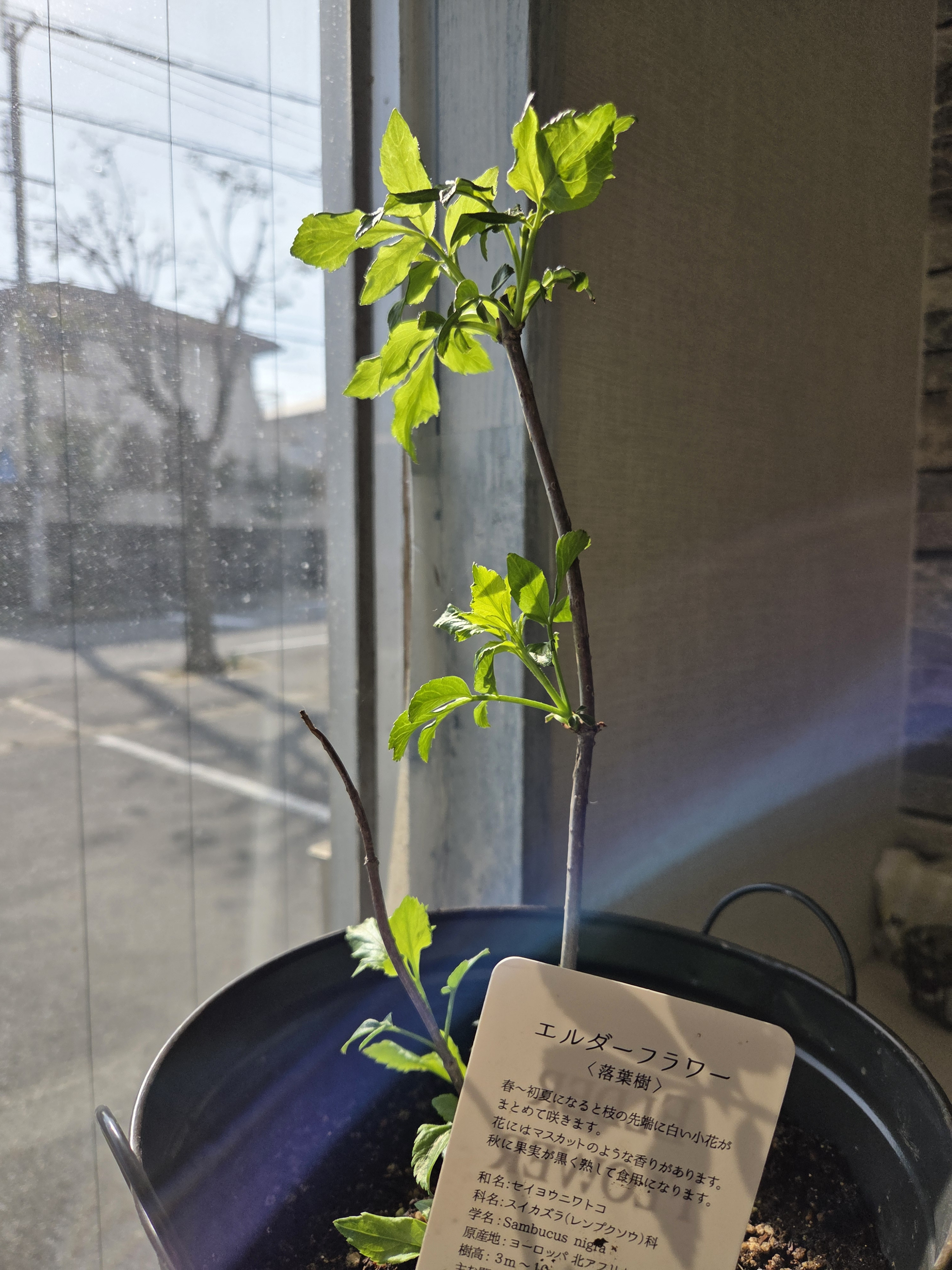 今日もゆっくり…