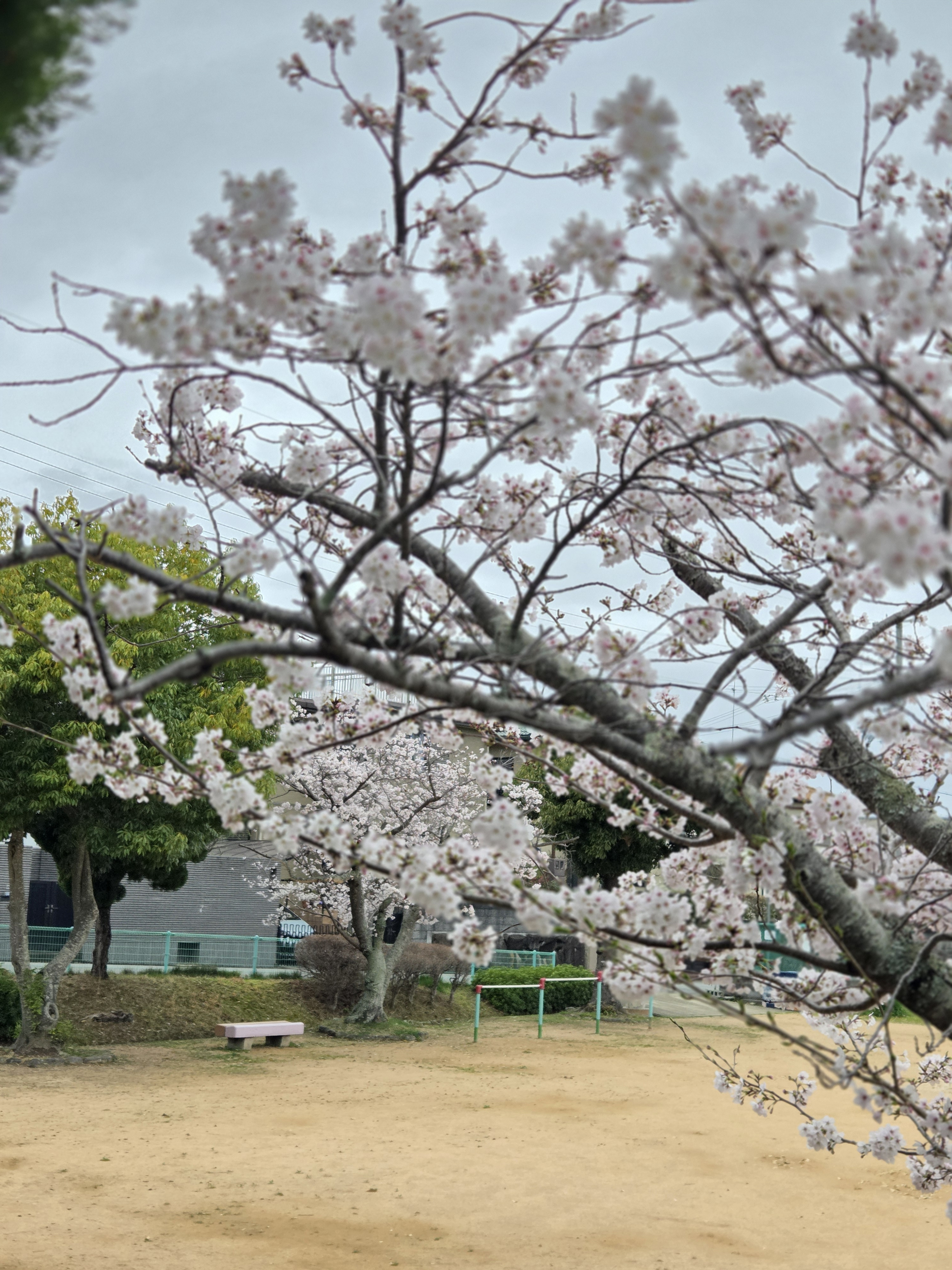今日はいっぱいです❗今週は……