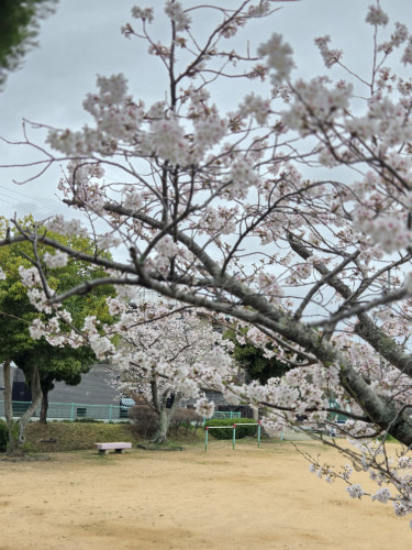 今日はいっぱいです❗今週は……