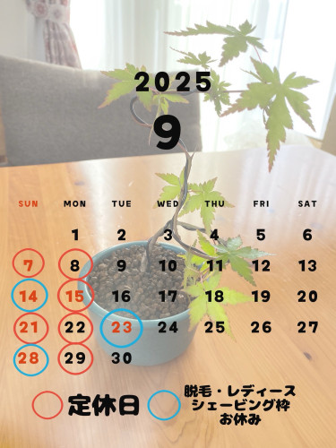 AC03B90A-75EF-4CAC-BB65-017B894D5EF1.jpeg