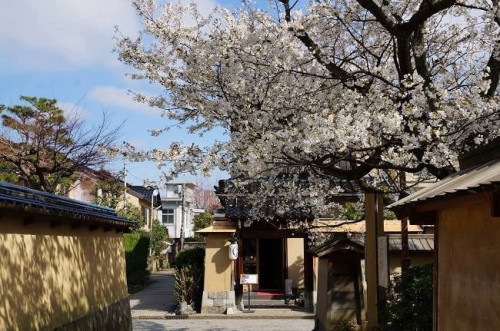 長町武家屋敷龍正
