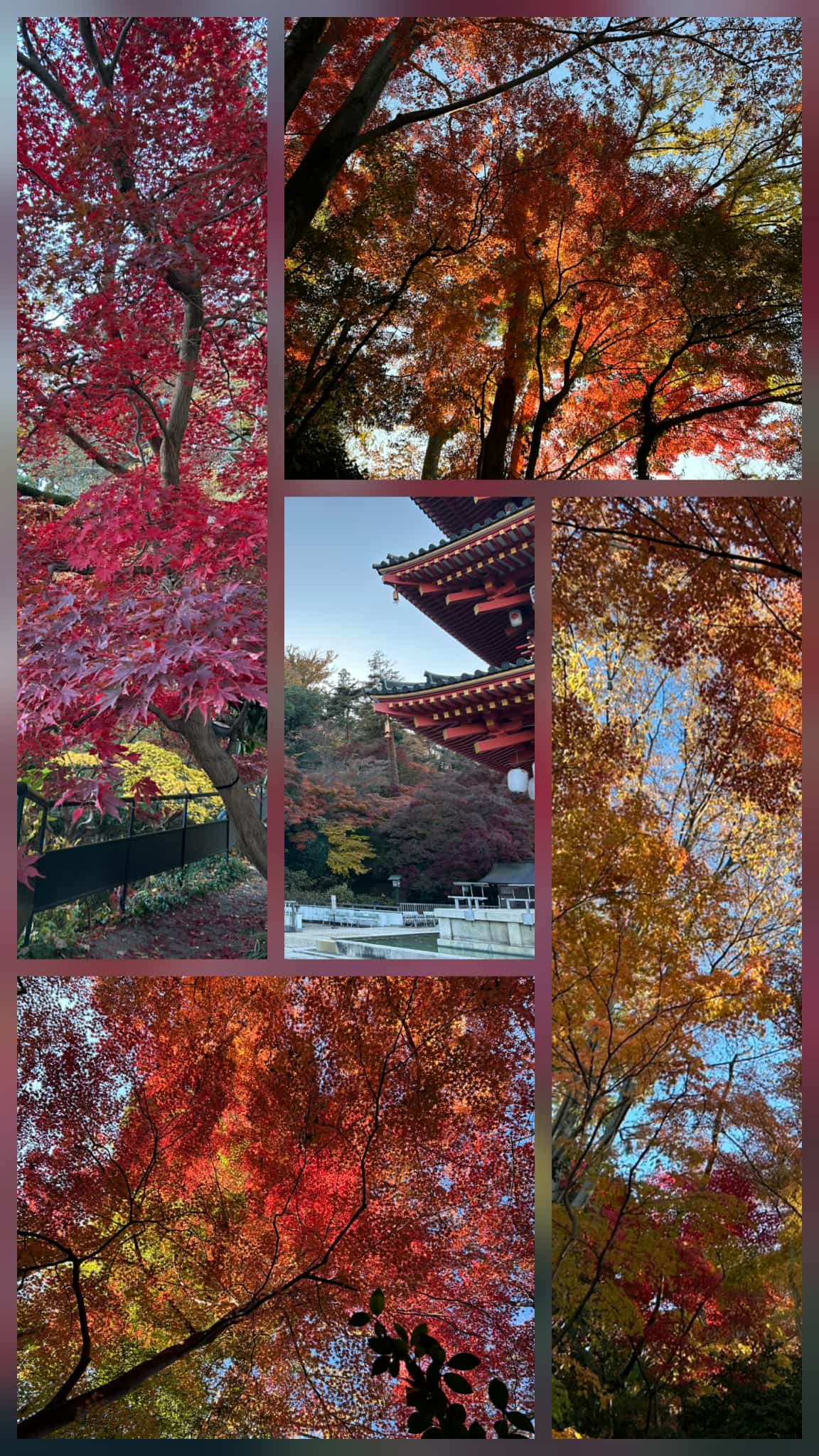 Looking forward to Christmas!