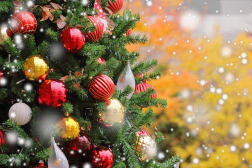 クリスマスメニューのお知らせ