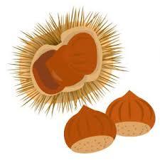 ♡11月22日(土)♡予約状況♡14：00～予約可能♡