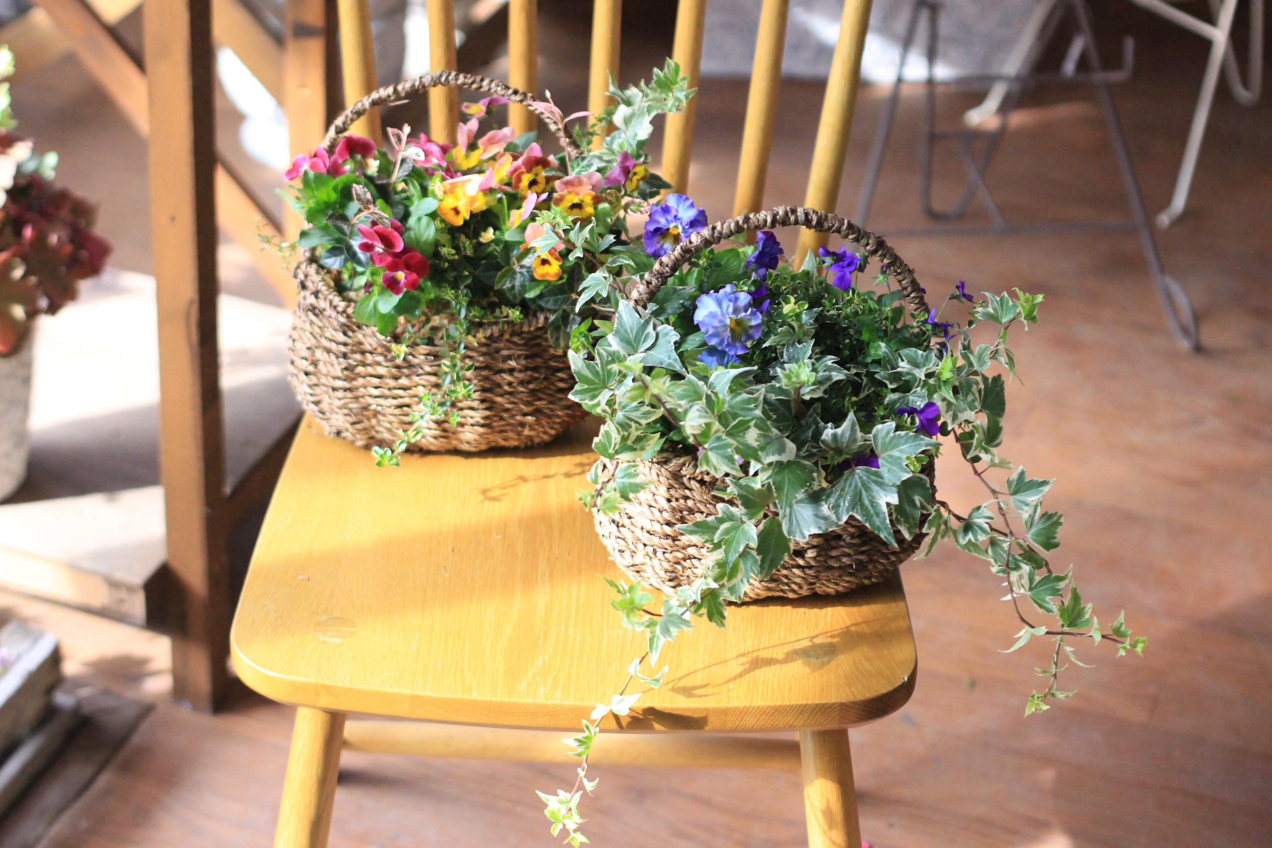 寄せ植えギャザリング体験レッスン アトリエajisai ブリコラージュフラワー 花の寄せ植え教室