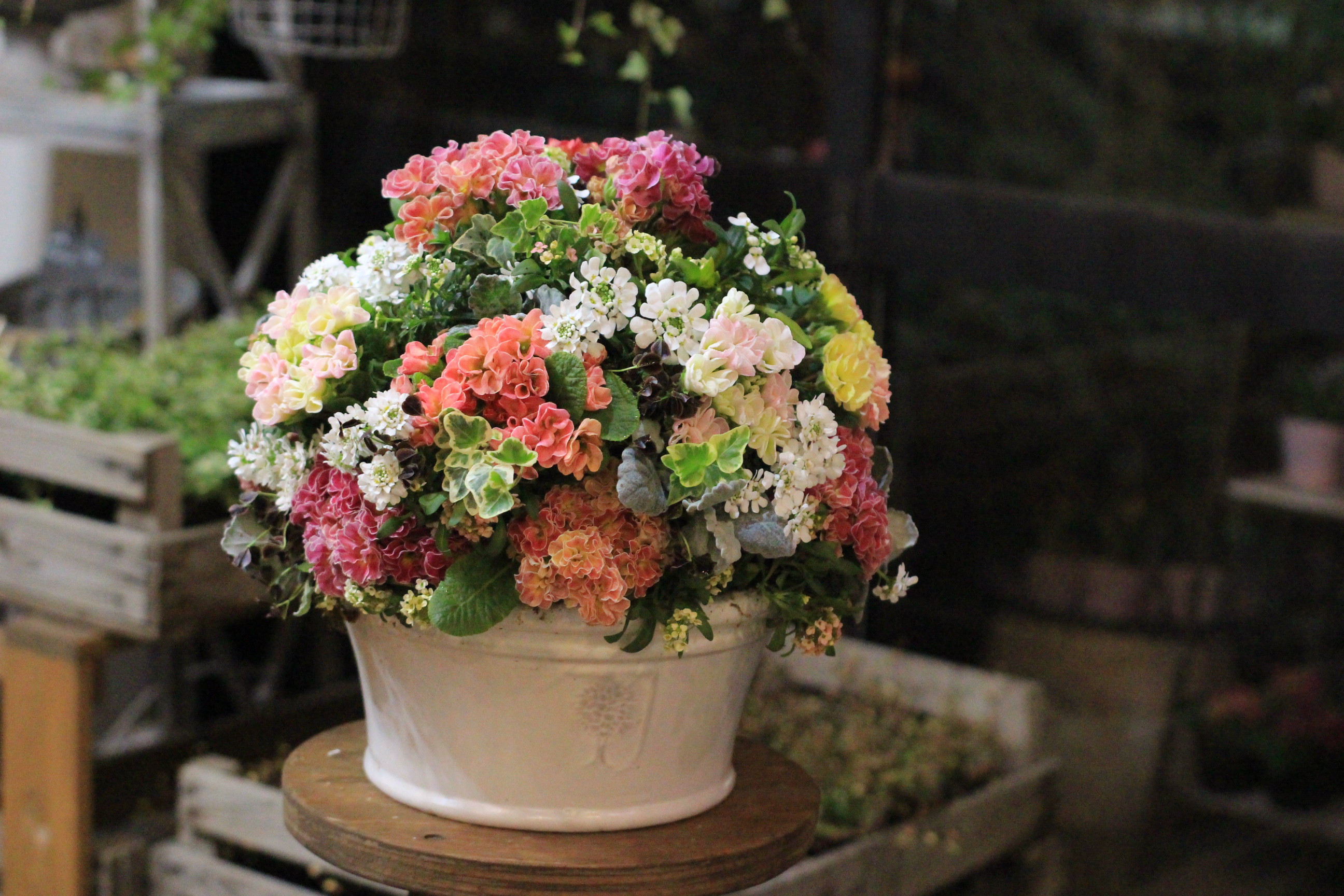 2月のレッスン作品たち アトリエajisai ブリコラージュフラワー 花の寄せ植え教室