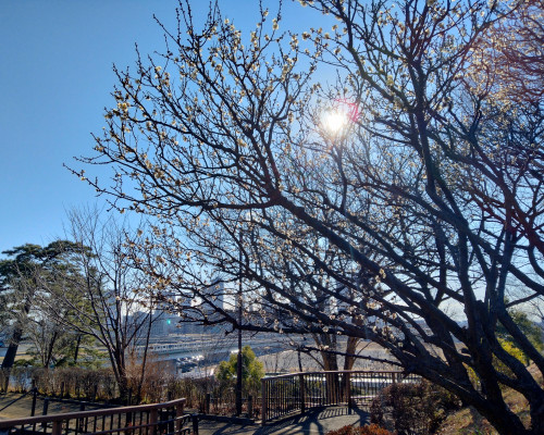 2月3月カレンダー、公開致しました！