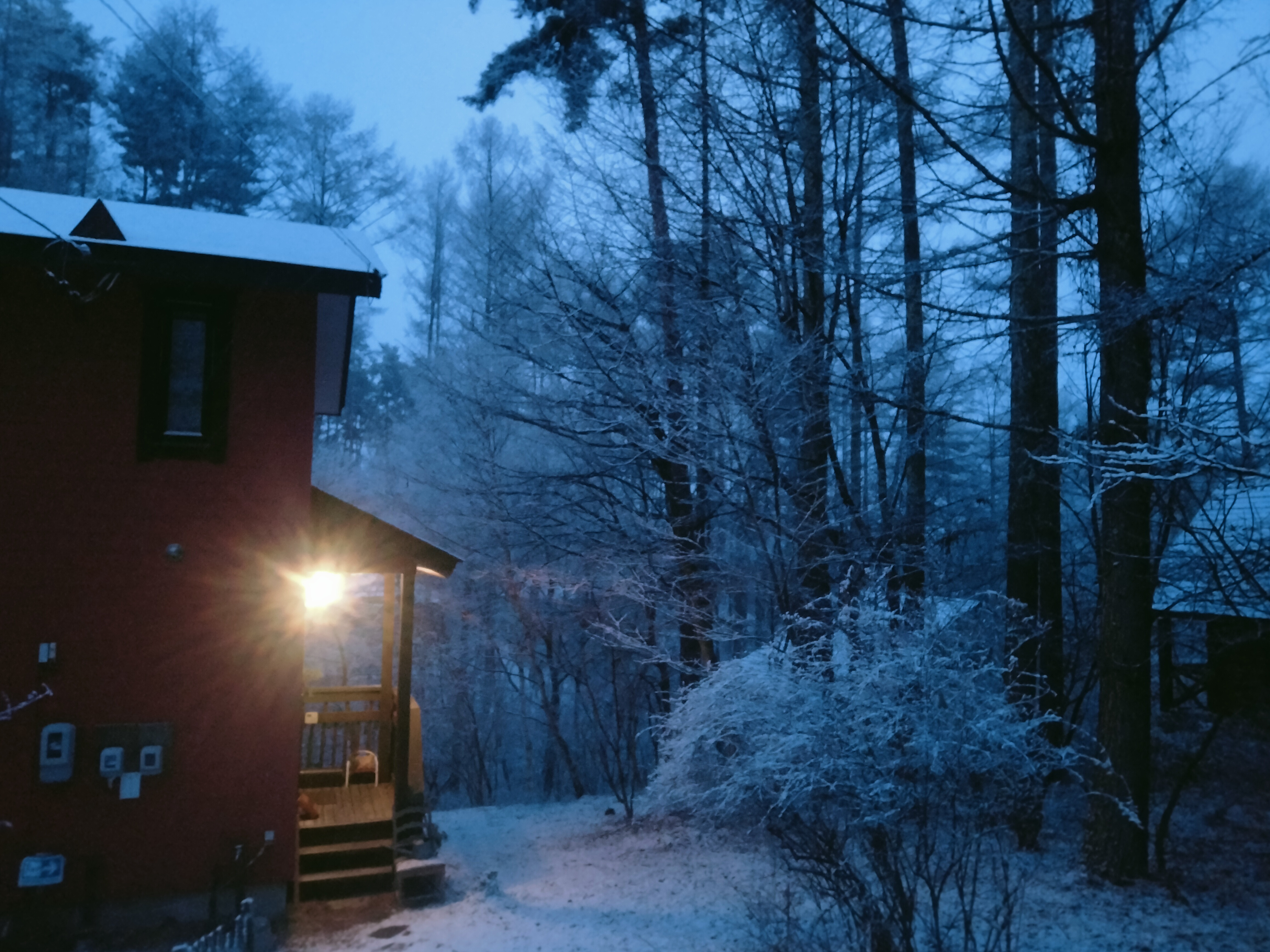 冬は朝。雪の夜。