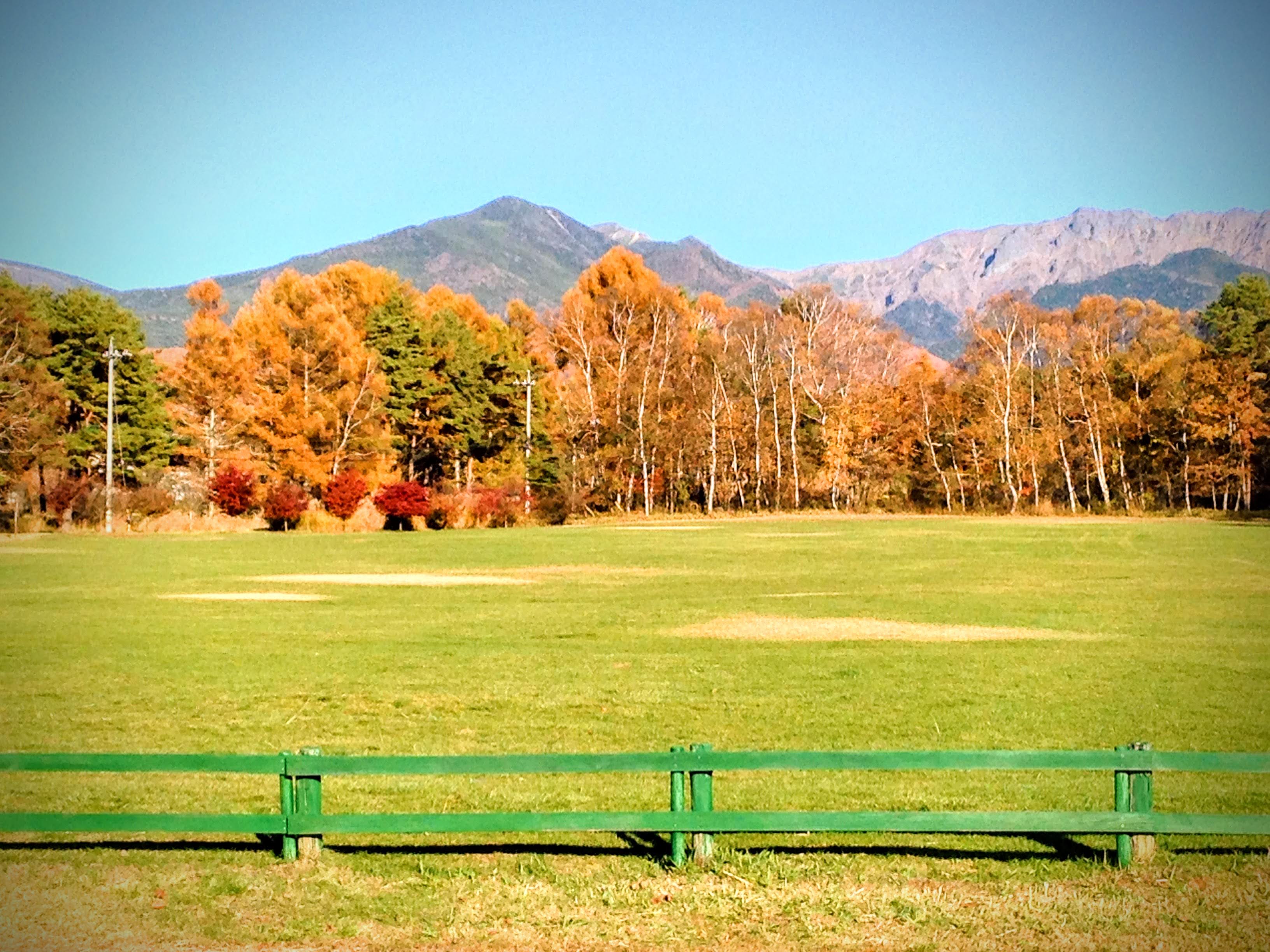 ①11月までご予約カレンダー、公開中🍁   ② ハイジ・ロッジのヨガクラスのお知らせ