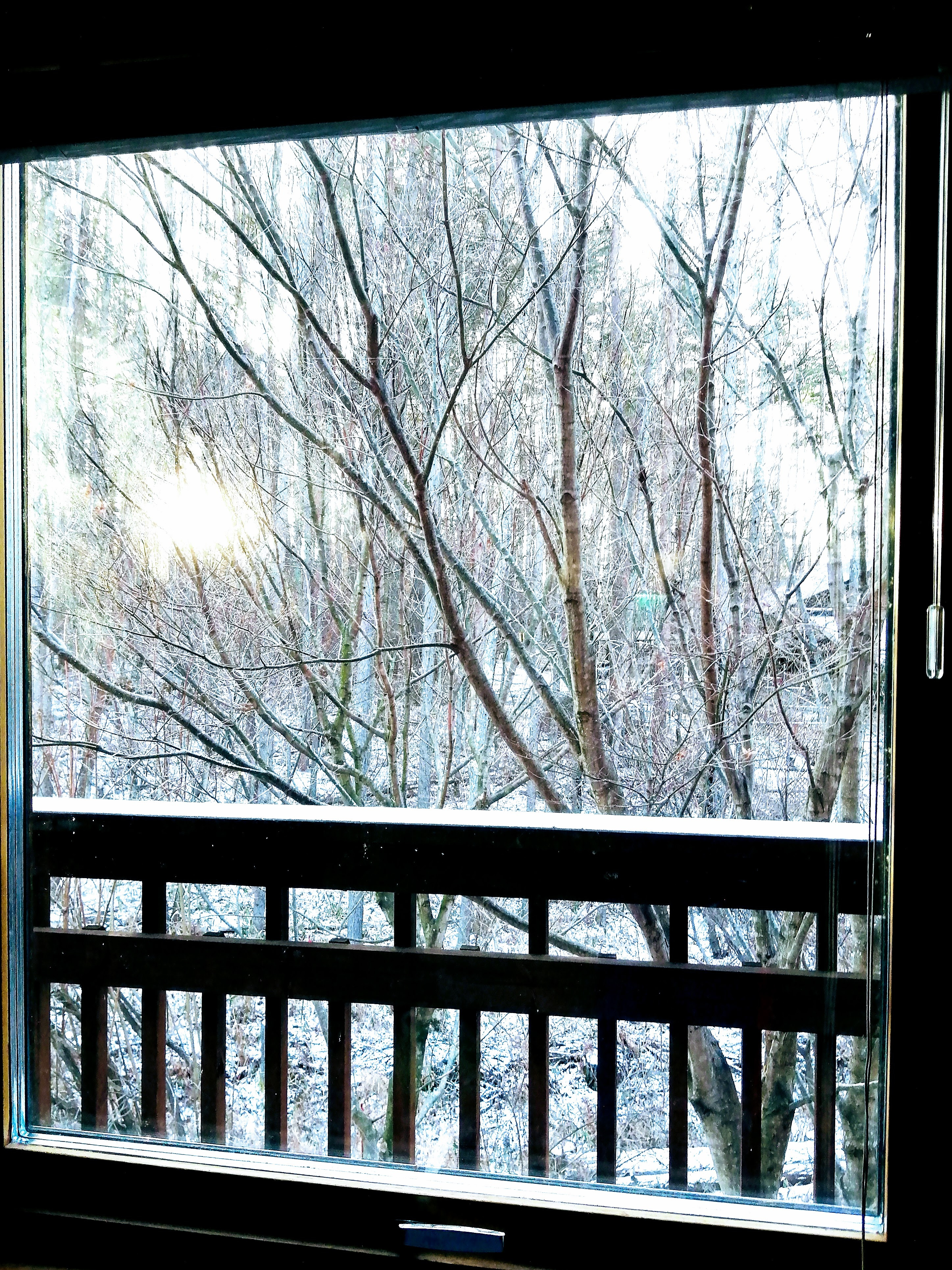 雪が舞い始めました⛄